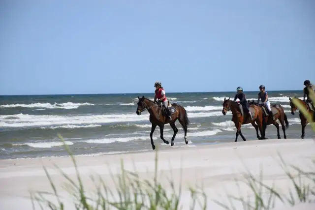 Stadnina Białogóra: Idealne miejsce na jazdę konną dla każdego jeźdźca