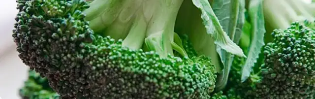 Zdrowe przepisy na dietetyczne dania z brokułami, które zaskoczą smakami