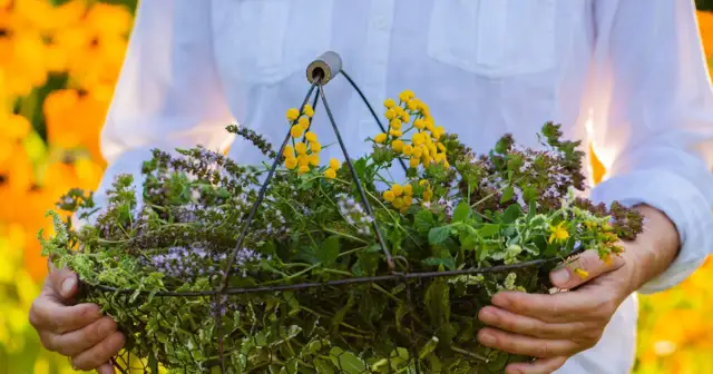 Kosmetyki z Niemiec, które naprawdę warto kupić dla zdrowej skóry