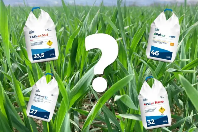 Jaki nawóz na 2 dawkę azotu? Odkryj skuteczne rozwiązania dla zbóż