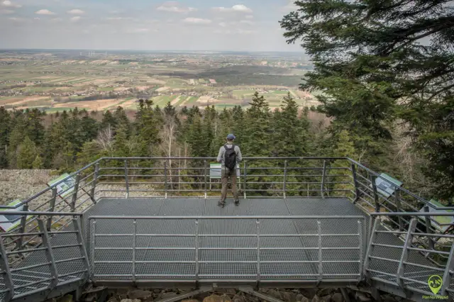 Góry Świętokrzyskie: Co zobaczyć? Plan podróży i ukryte skarby