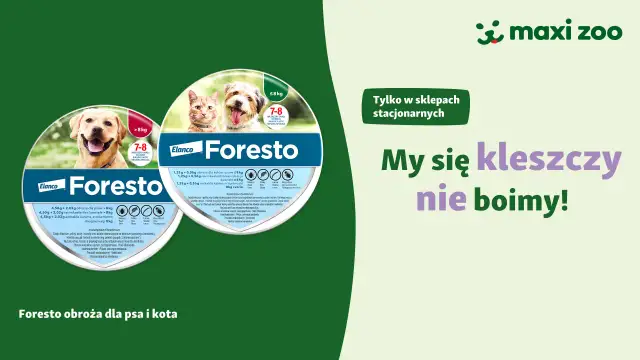 Gdzie kupić obrożę Foresto? Sprawdź najlepsze oferty online