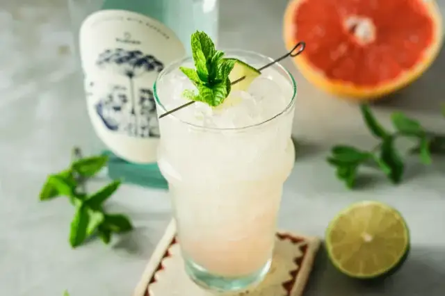 Einfache Gin-Cocktails: Schnell & köstlich mixen Rezepte für Einsteiger