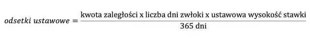 Ile wynoszą odsetki ustawowe za każdy dzień? Sprawdź, jak uniknąć wysokich kosztów!