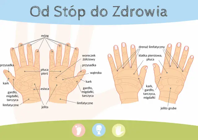 Akupresura dłoni: Mapa punktów na ból, stres i lepszy sen