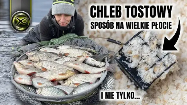 Chleb na haczyk: Jak założyć, by nie spadał? [Poradnik]