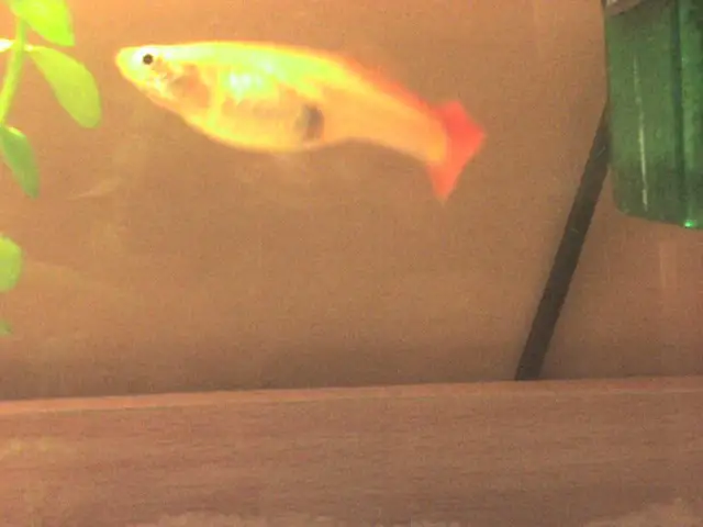 Gupik przed porodem: 7 sygnałów, które musisz znać