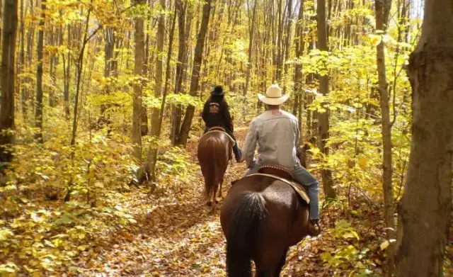 Stadnina koni Bieszczady - najlepsze miejsca na jazdę konną i rajdy