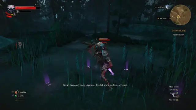 Sprawy rodzinne Geralta w Wiedźminie 3 - poradnik