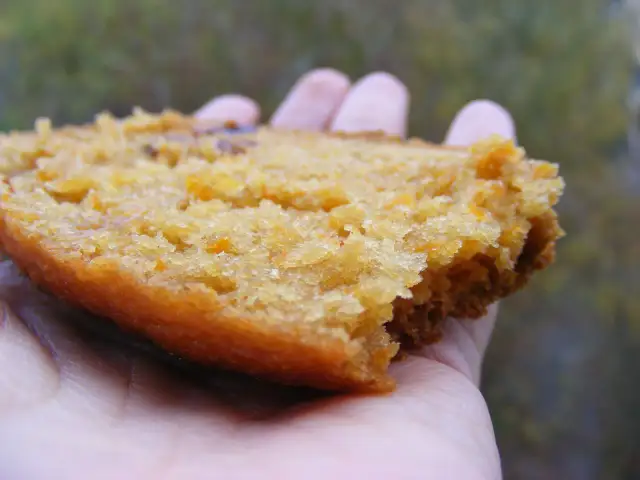 Jakie ciasta upieczesz w wypiekaczu do chleba? Przepisy, które zachwycą