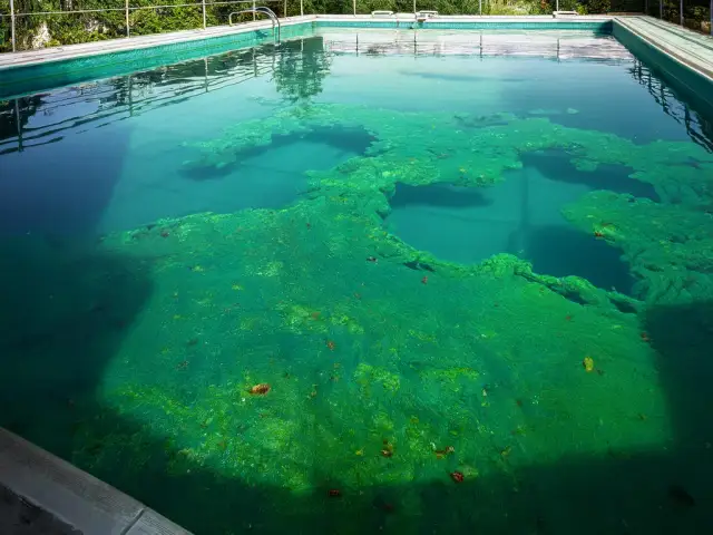 Skuteczne sposoby na glony w basenie ogrodowym – uniknij problemów z wodą