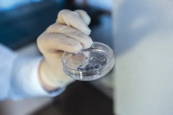 Czy in vitro to grzech? Moralność i kontrowersje w Kościele katolickim