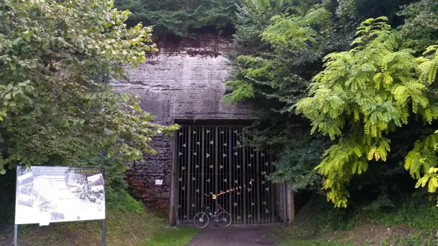 Najlepsze atrakcje w Strzyżowie, które musisz zobaczyć i przeżyć