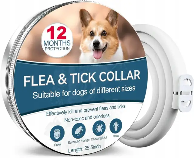 Czy obroża przeciw kleszczom jest szkodliwa dla psa? Sprawdź ryzyko