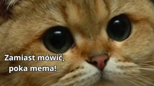 Co to jest mem? Zrozumienie memów w kulturze internetowej