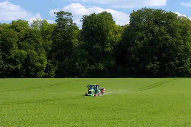 Nawozy dolistne czy warto? Odkryj ich skuteczność i korzyści