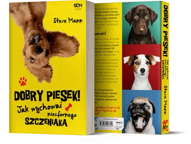 Jak wychować niesfornego szczeniaka, aby był dobrym pieskiem w każdym domu