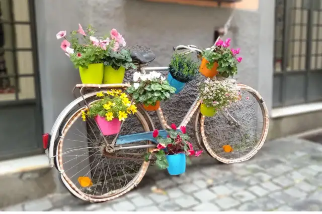 Kwietnik z roweru: Zmień stary grat w ogrodową perełkę DIY!