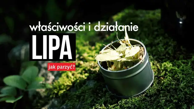 Herbata z lipy dla dziecka: Od kiedy bezpiecznie podawać?