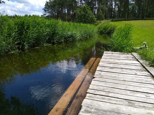 Spływ kajakowy Wdą: Jak zaplanować idealną przygodę na Kaszubach?
