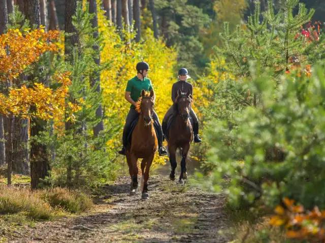 Czy można jeździć konno podczas okresu? Oto co musisz wiedzieć