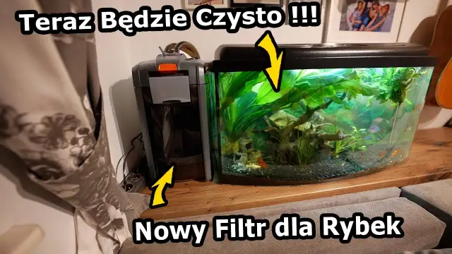 Jak zamontować filtr w akwarium - uniknij najczęstszych błędów