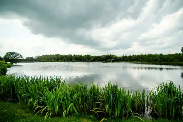 Łowisko Zielona Dolina – najlepsze miejsca na wędkowanie w Polsce