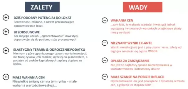 Fundusze inwestycyjne czy warto? Kluczowe zalety i wady inwestycji