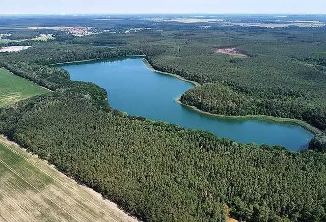 Jezioro Cisie: atrakcje, lokalizacja i sekrety przyrody, które warto poznać