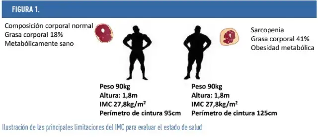 Cómo calcular masa muscular de forma precisa y efectiva para tu salud
