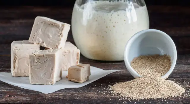 Drożdże do chleba: świeże, suche czy zakwas? Wybierz mądrze!