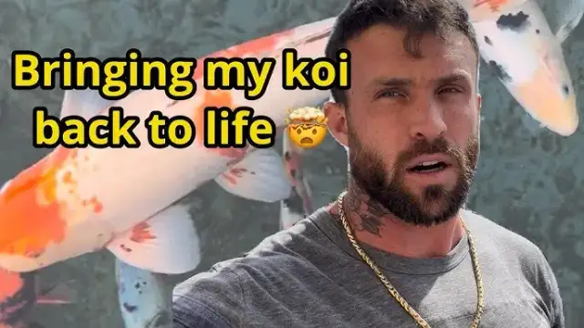 Jak pomóc zdychającej rybce - skuteczne sposoby na ratunek i ulgę