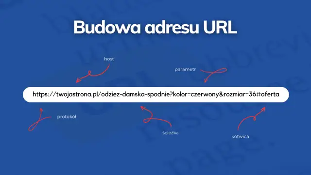 Co to URL? Zrozum adres internetowy i jego znaczenie dla Ciebie
