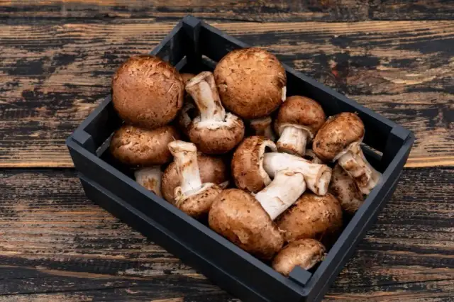 Jak suszyć grzyby w piekarniku, aby zachować ich smak i aromat