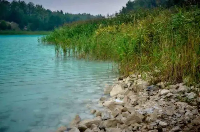 Jezioro w Koninie: piękno i niebezpieczeństwa, które musisz znać