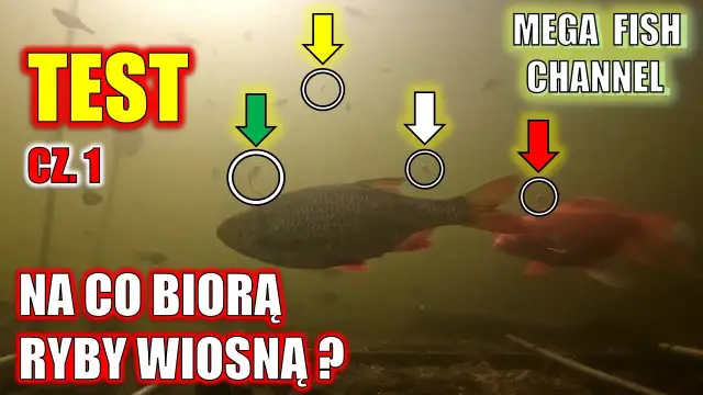 Na co łowić ryby? Sekrety przynęt i zanęt Damiana Baranowskiego