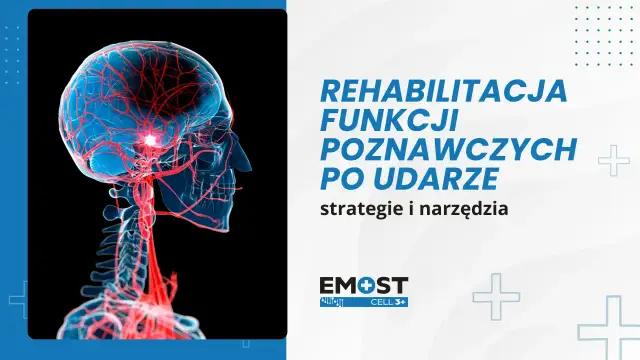 Ilustracja mózgu z naczyniami krwionośnymi, symbolizująca rehabilitację funkcji poznawczych po udarze. Dostępne są karty pracy.