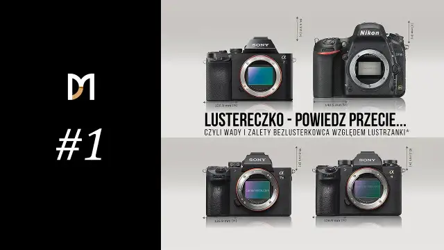 Jaki aparat kupić? Bezlusterkowiec czy lustrzanka pełne porównanie