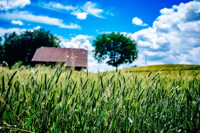 Co można na działce rolnej? Odkryj możliwości budowy i inwestycji