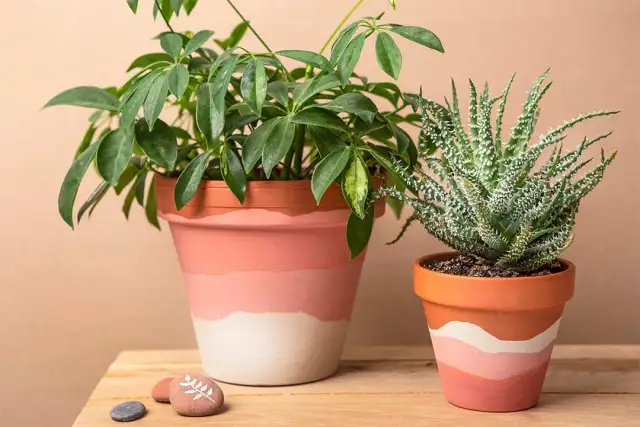 Jaką farbą pomalować doniczki, aby były trwałe i efektowne?