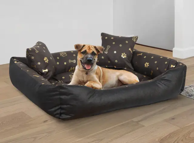 Szczęśliwy piesek leży na wygodnym, ciemnobrązowym legowisku dla psa, które można prać. Wzór w kości i łapki dodaje uroku.
