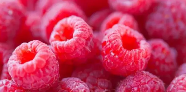 Czy ketony malinowe odchudzają? Sprawdź, co mówią badania!