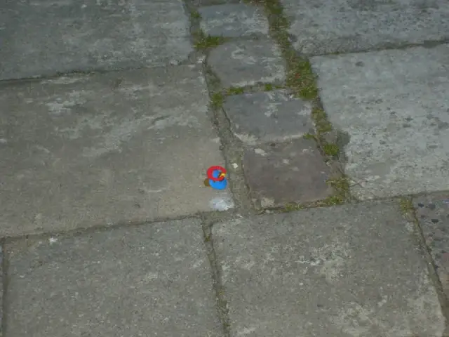 Dudek: Jak rozpoznać ptaka z "irokezem"? Pełny przewodnik