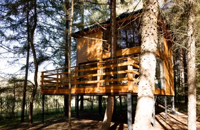 Najlepsze domki na drzewie w Dolnym Śląsku - komfort i widoki