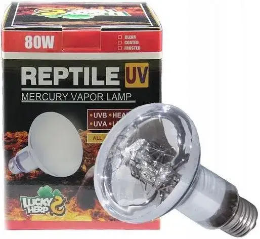 Jaka żarówka UVB dla żółwia stepowego zapewni zdrowie i witalność?