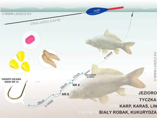 Jaki spławik na karpia? Wybierz idealny i łów skuteczniej!