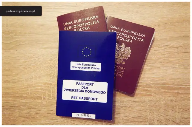 Czarnogóra: Dowód wystarczy, ale jest haczyk! Kiedy paszport?