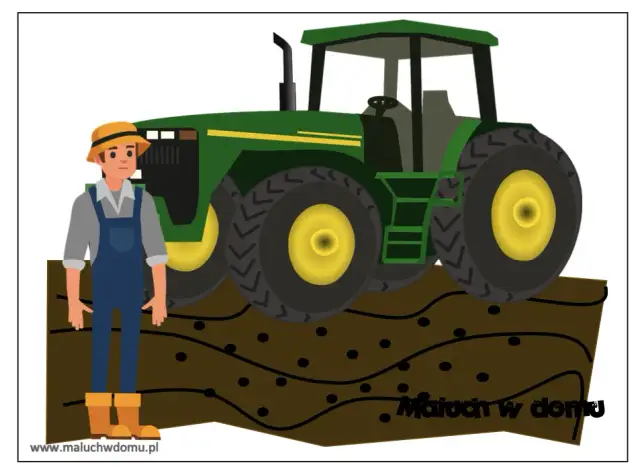 Jak powstaje chleb? Poznaj kluczowe etapy i składniki