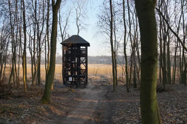 Najciekawsze atrakcje w Mosinie, które musisz odwiedzić