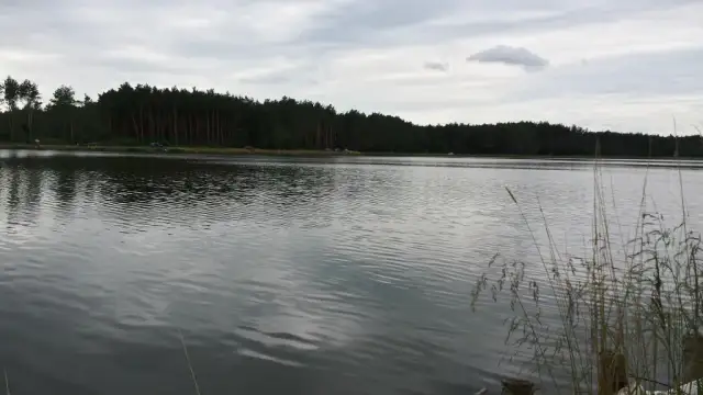 Łowisko Jagodno: idealne miejsce na spokojne wędkowanie i relaks